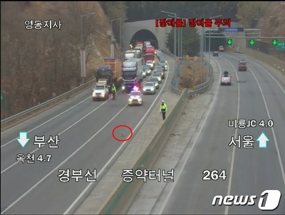 9일 오후 5시5분쯤 유기견 한 마리가 경부고속도로에 출몰해 경찰과 한국도로공사 관계자가 구출하고 있는 모습.(한국도로공사 대전충남본부 제공) /2023.02.10./뉴스1