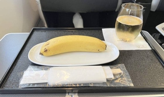 일본항공(JAL) 여객기를 탄 승객이 조식으로 신청한 비건밀로 달랑 바나나 한 개를 받았다며 항공정보사이트 커뮤니티에 후기를 남겼다. (플라이톡)