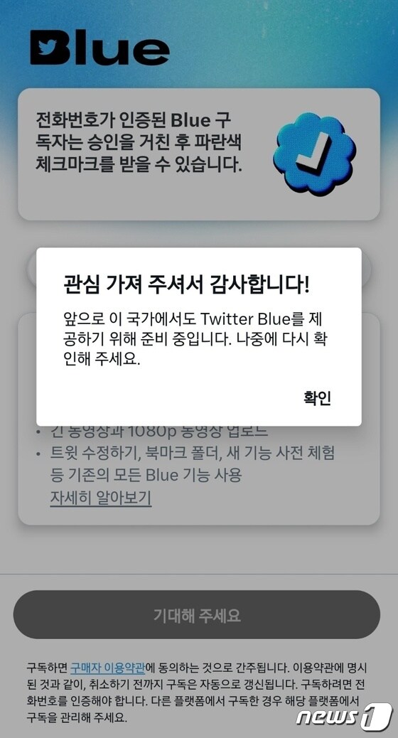 트위터 프로필 하단에 새로 생긴 'Twitter Blue' 탭을 클릭하면 생기는 화면 (트위터 화면 갈무리)