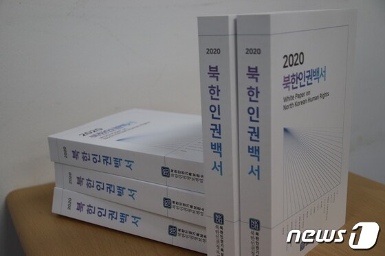 2020 북한인권백서.