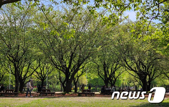 18일 서울 성동구 서울숲을 찾은 시민들이 맑게 갠 하늘 아래 산책을 즐기고 있다. 2023.4.18/뉴스1 © News1 유승관 기자