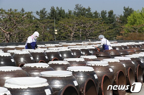 초여름 화창한 날씨에 한 농원 직원들이 장독대를 닦고 있다.. 뉴스1 © News1 