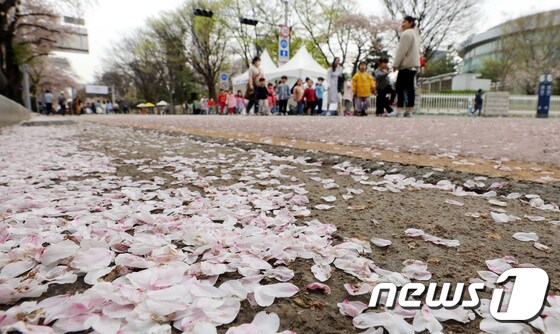 제17회 봄꽃축제가 개막한 4일 서울 영등포구 여의도에서 어린이들이 벚꽃길을 걷고 있다. 2023.4.4/뉴스1 © News1 박지혜 기자