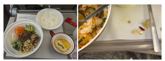 아시아나항공 기내식에서 이물질이 나와 승객의 치아가 손상되는 사건이 발생했다. 사진은 피해자가 네이버 카페에 올린 글 갈무리.© 뉴스1 