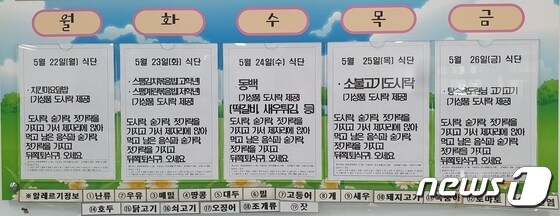 26일 대전 중구에 있는 한 초등학교 급식실에 게시된 일주일 식단표. 2023.5.26/뉴스1 © News1 허진실 기자 