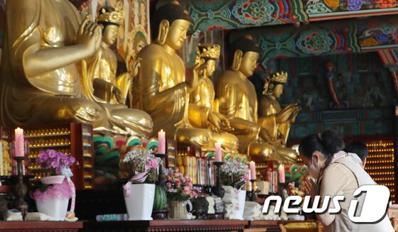 불기 2567년 부처님 오신 날인 27일 전북 김제시 금산사에 불자들이 합장을 하고 기도를 드리고 있다. 2023.5.27/뉴스1 © News1 유경석 기자