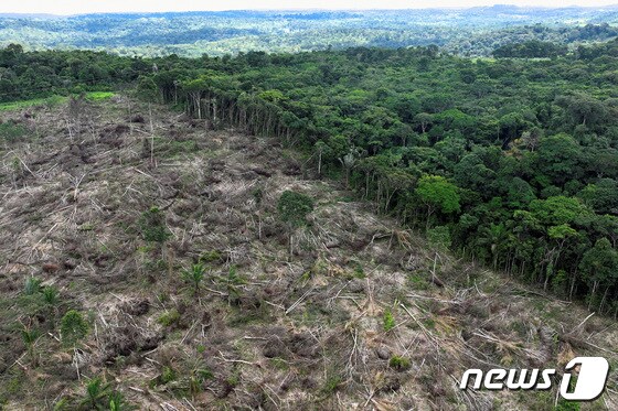 브라질 파라주 우루아라 인근의 황폐화된 아마존 모습 2023.1.21 © 로이터=뉴스1 © News1 정윤미 기자