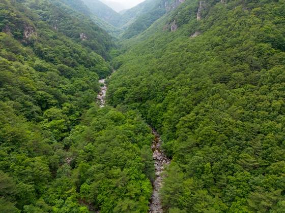 초록 사이로 흐르는 맑은 물줄기. 계곡을 따라 걷다보면 이곳을 노래한 옛 묵객들이 떠오른다(한국관광공사 제공)