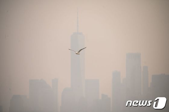 6일 (현지시간) 캐나다에서 발생한 산불의 영향으로 연기로 덮여 뿌옇게 변한미국 뉴욕 맨해튼의 빌딩 사이로 갈매기가 날고 있다. 2023.6.8 © AFP=뉴스1 © News1 우동명 기자