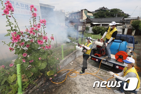 방역소독기동반이 대구의 한 주택가에서 소독약을 뿌리고 있다.2023.6.8/뉴스1 © News1