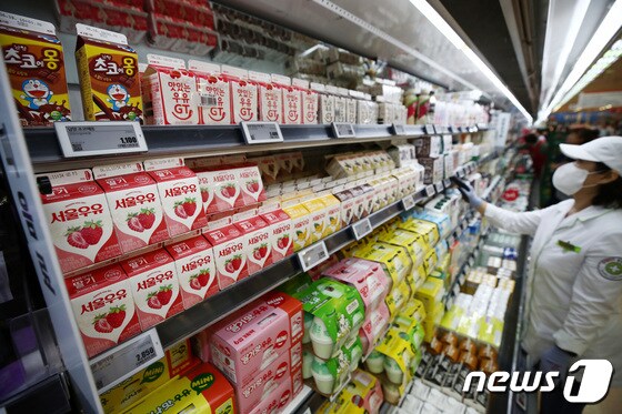 대구·경북의 소비자 물가가 두 달 연속 3%대 상승률을 기록했다. 사진은 대형마트 직원이 우유를 진열하는 모습. 2023.6.8/뉴스1 © News1 김민지 기자