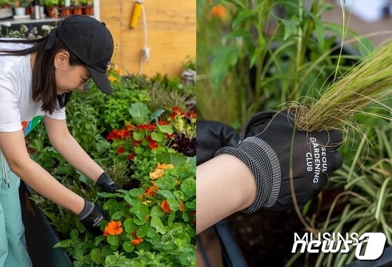 무신사가 6월 환경의 달을 기념해 사내 친환경 캠페인 '비 그리너'(BE GREENER) 일환으로 서울 도심 속의 작은 정원을 만들었다.(무신사제공)