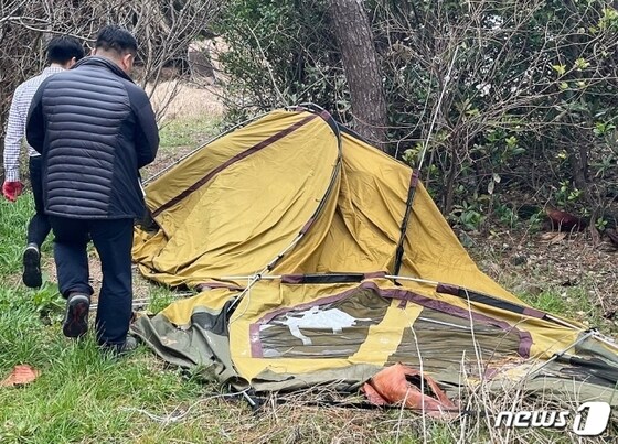 제주시 공무원들이 지난 2월15일 협재·금능해수욕장 야영장에서 장기간 파손된 채 방치돼 있던 이른바 '알박기 텐트'를 강제철거하고 있다.(제주시 제공)