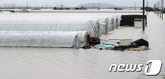 지난 7월16일 전북 익산시 용안면 한 시설하우스 일대가 폭우로 인해 물에 잠겨 있다. 2023.7.16/뉴스1 © News1 유경석 기자