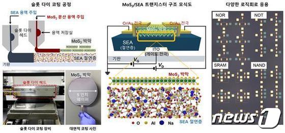 MoS2/SEA 트랜지스터 구조 모식도. (KAIST 제공)/뉴스1