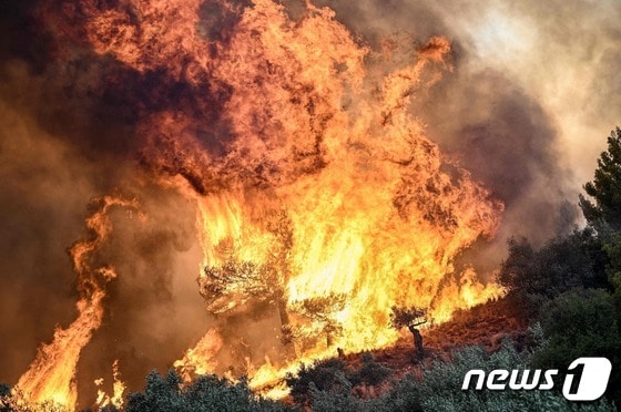 21일 (현지시간) 산불이 발생한 그리스 프로드로모스의 숲에서 불길이 거세게 확산되고 있다. 2023.8.22 © AFP=뉴스1 © News1 우동명 기자