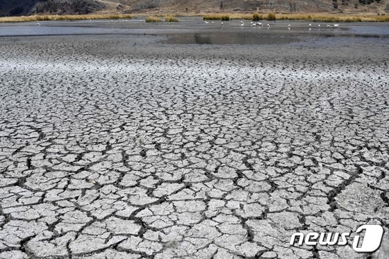 남미 최대 호수인 볼리비아 알티플라노에 있는 티티카카 호수가 지난해 극심한 가뭄으로 바닥을 드러내며 갈라진 모습. (사진은 기사 내용과 무관함) / 뉴스1 © News1© AFP=뉴스1 © News1 우동명 기자