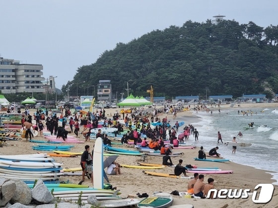 강원 양양 인구해변에서 서핑을 즐기는 서퍼들.(뉴스1 DB)