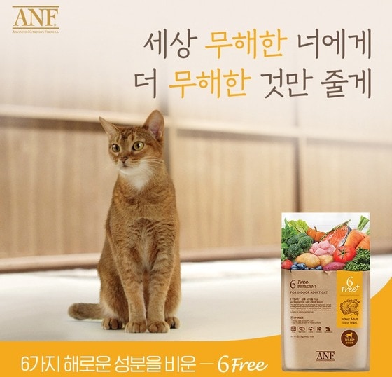 우리와 ANF 고양이 사료(이리온몰 갈무리) © 뉴스1