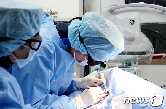 전성훈 해마루동물병원 인터벤션센터장이 13일 특수목적견으로 활동하고 은퇴한 개를 수술하고 있다.(동물병원 제공) © 뉴스1
