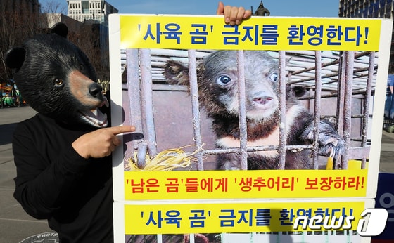 한국동물보호연합 회원들이 서울 종로구 광화문 광장 앞에서 '사육 곰' 금지 환영과 생추어리(곰 피난처) 보장을 촉구하는 퍼포먼스를 하고 있다. 2024.1.16/뉴스1 © News1 김진환 기자