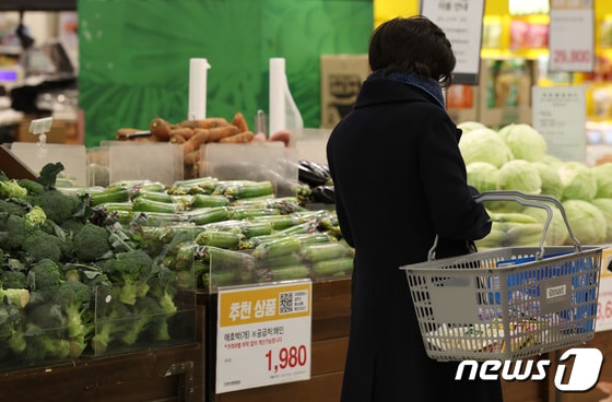 한파와 폭설, 일조량 감소 등으로 출하량이 줄어들면서 농산물 가격이 치솟고 있는 가운데 4일 오전 서울 시내의 한 대형마트에서 시민이 채소를 고르고 있다. 2024.1.4/뉴스1 © News1 김민지 기자