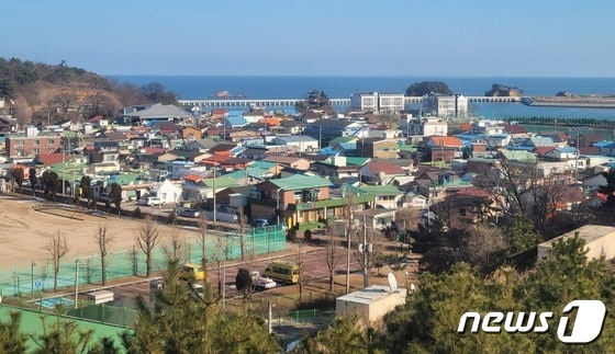  인천 옹진군 연평면의 모습.2024.01.08 © News1 이시명 기자