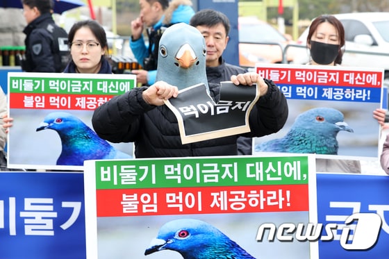 동물권 단체, '비둘기 먹이주기 금지' 반대
