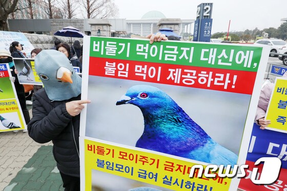 '비둘기 먹이주기 금지' 야생생물법 개정안 철회 촉구 나선 동물권 단체