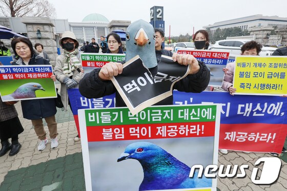 동물권 단체, '비둘기 먹이주기 금지' 야생생물법 개정안 철회 촉구