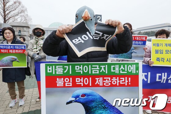 동물권 단체 '비둘기 먹이주기 금지 대신 불임 먹이 촉구'
