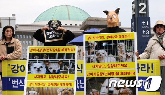 국회 앞에 선 동물보호단체 회원들