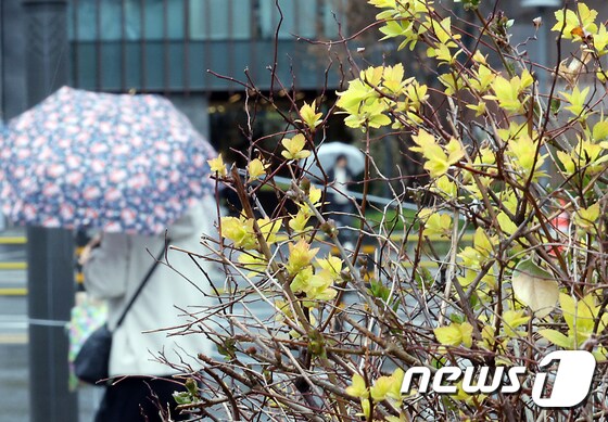 봄비가 내린 25일 오후 서울 종로구 일대를 지나는 우산을 받쳐든 시민들이 발걸음을 재촉하고 있다. 2024.3.25/뉴스1 © News1 박정호 기자