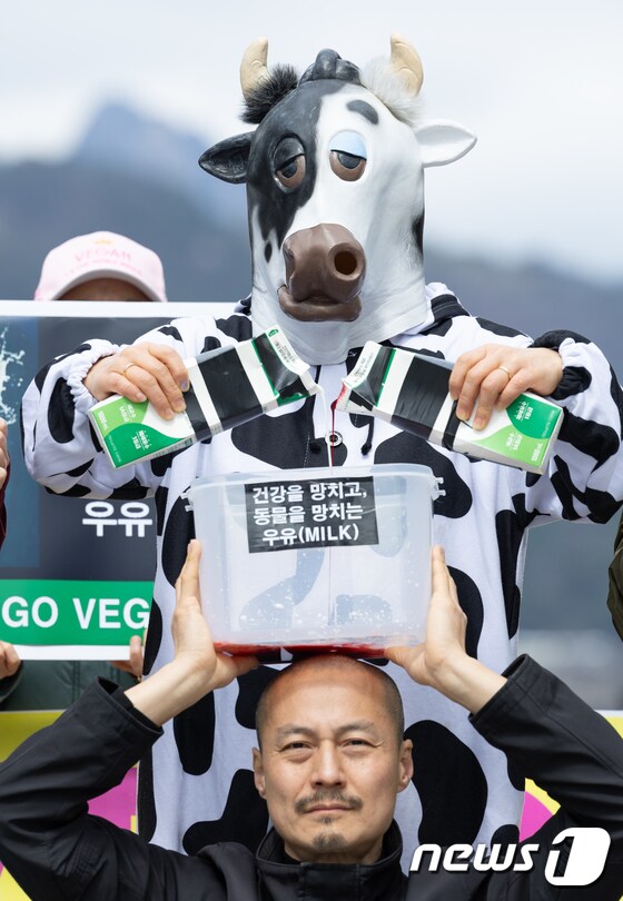 '우유는 동물학대' 퍼포먼스 하는 한국채식연합