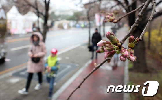 봄꽃축제 개막, '벚꽃은 아직'