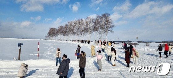 눈이 쌓인 언덕을 배경 삼아 '인증샷'을 남기는 관광객들.(비에이초관광협회 제공)
