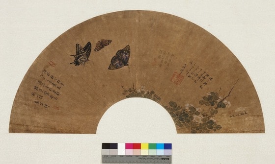 <나비蛺蝶圖>, 김홍도金弘道(1745-1806 이후), 조선 1782년, 종이에 색, 덕수1791