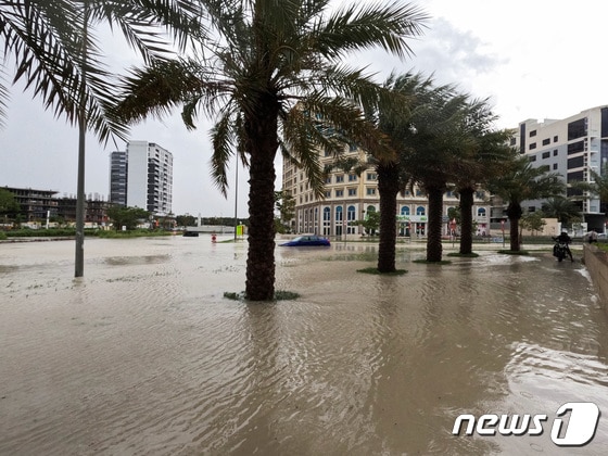 두바이에 폭우가 내려 거리가 물에 잠겼다.  가로수인 야자수가 을씨년스럽다. © 로이터=뉴스1 © News1 정지윤 기자