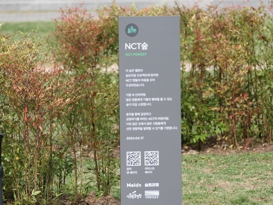 NCT,투모로우바이투게더 숲