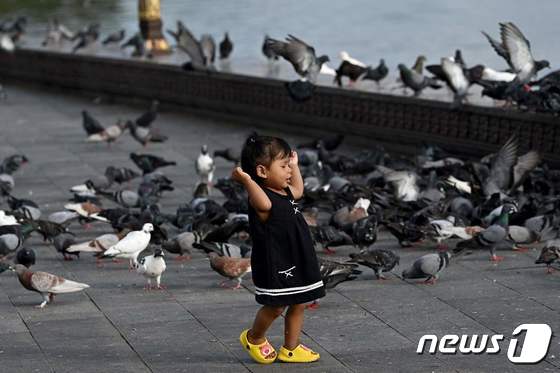 조류독감 © AFP=뉴스1