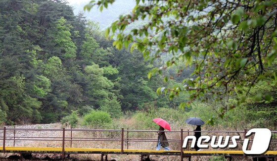 20일 대전 유성구 수통골을 찾은 나들이객이 우산을 쓰고 등산을 하고 있다.© News1 김기태 기자