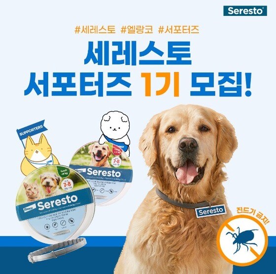 블라인드 | 한국엘랑코동물약품 뉴스