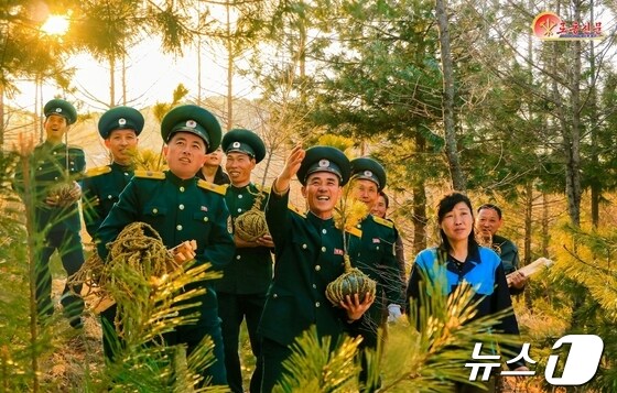 나무심기 강조하는 북한…