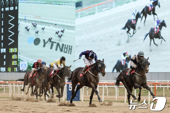 YTN배 우승한 글로벌히트와 김혜선기수 결승선 통과 장면(렛츠런파크 부산경남 제공)