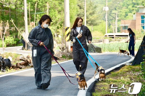 비글구조네트워크 논산센터에서 한진 직원이 강아지 산책 봉사활동을 하고 있다.(한진 제공) © News1 김민석 기자