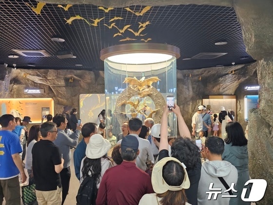 28일 전남 함평나비축제장을 찾은 관광객들이 '황금박쥐상''을 배경으로 기념사진을 촬영하고 있다. 2024.4.28/뉴스1 © News1 최성국 기자