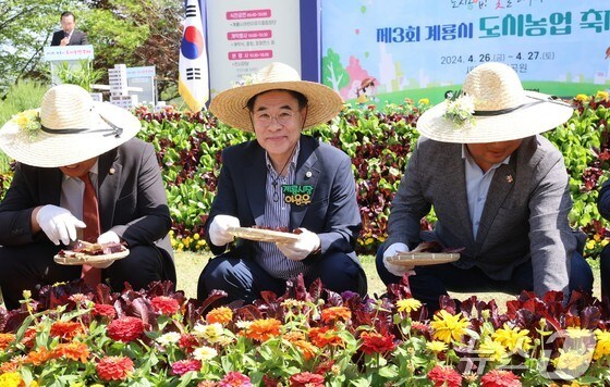 이응우 계룡시장(가운데)이 ‘제3회 도시농업 축제’에서 상추를 수확하고 있다. (계룡시 제공) /뉴스1