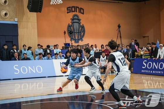 비발디파크 소노 아레나 경기장에서 소노 스카이거너스 선수단(왼쪽 뒷편)이 지켜보는 가운데 임직원 농구대회가 진행되고 있다.(소노인터내셔널 제공) © News1