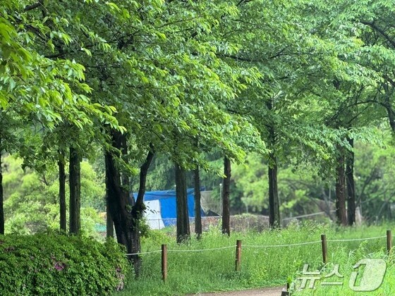 비내리는 5일 어린이날 인천시 남동구 인천대공원에 사람없이 한적한 모습을 보이고 있다.2024.5.5 © News1 박소영 기자
