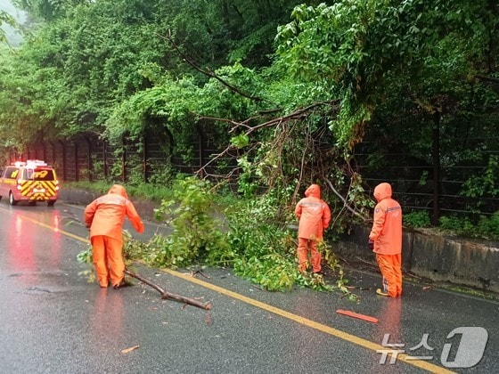 5일 오후 7시 20분쯤 전남 담양군 용면의 한 도로에 나무가 쓰러져 소방당국이 안전조치를 하고 있다. (전남소방 제공) 2024.5.5/뉴스1 